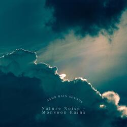 Shelter for the Rain