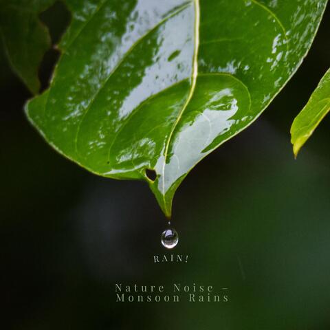 Rain!