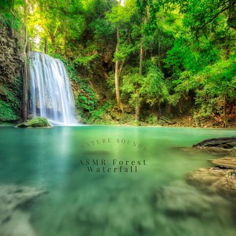 Nature Sounds