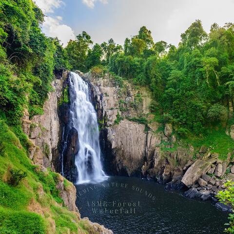 Calming Nature Sounds