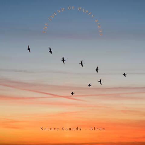The Sound of Happy Birds