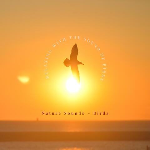 Relaxing with the Sound of Birds