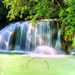 Forest Rivers