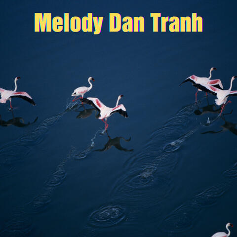 Melody Dan Tranh