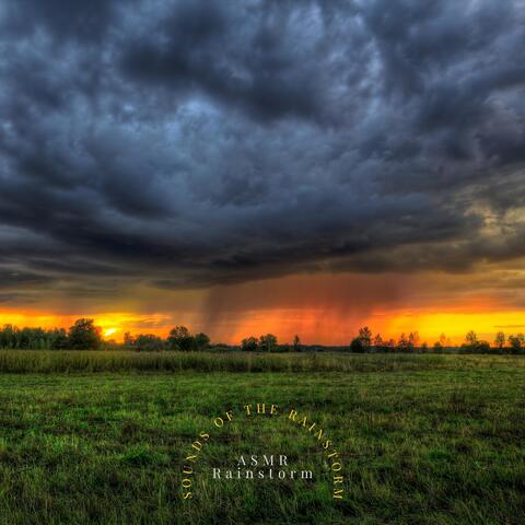 Sounds of the Rainstorm