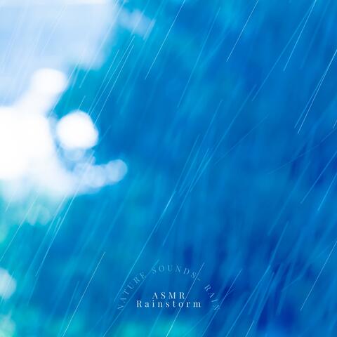 Nature Sounds - Rain