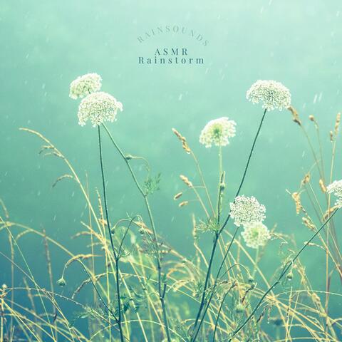 Rainsounds