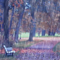 Romance and Rain