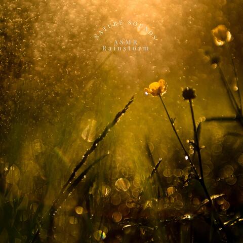 Nature Sounds