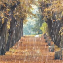 Setting the Path