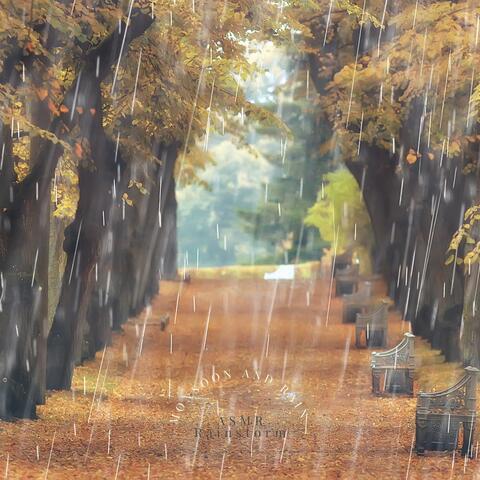 Monsoon and Rain
