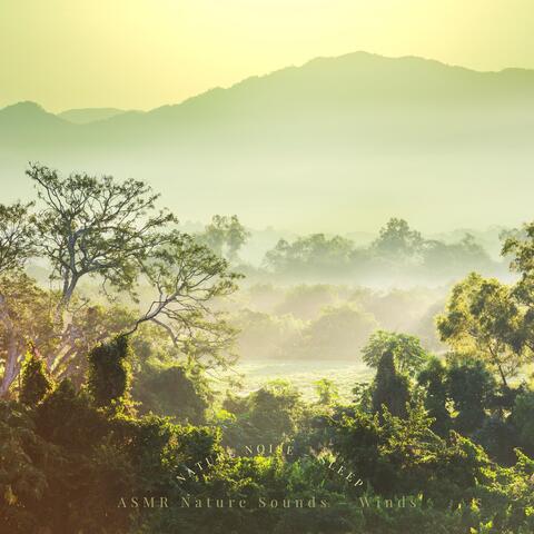 Nature Noise – Sleep