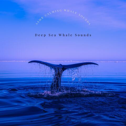 ASMR Calming Whale Sounds