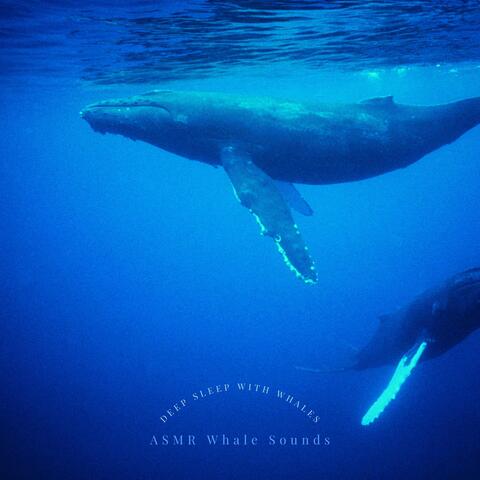 Deep Sleep with Whales