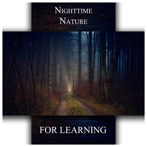 Nighttime Nature for Learning
