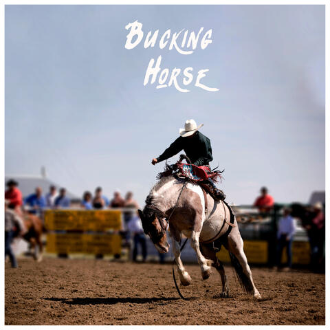 Bucking Horse