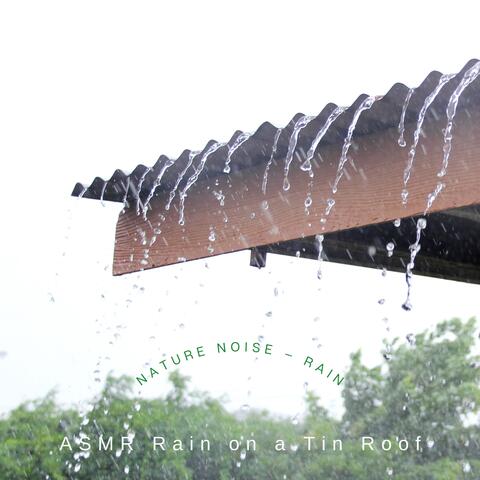 Nature Noise – Rain
