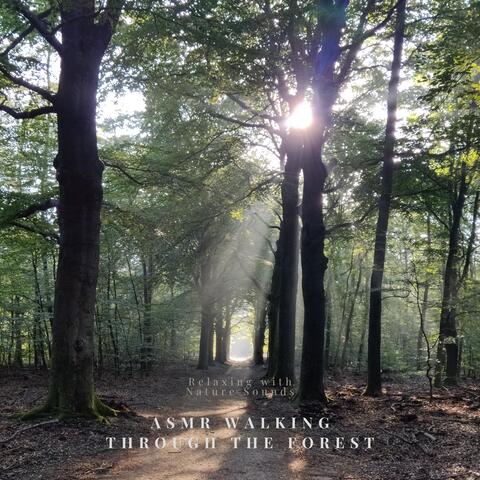 Relaxing with Nature Sounds