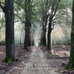 Nature Sounds – Footsteps
