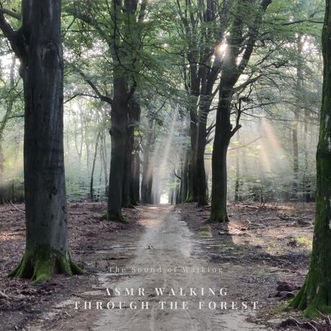 The Sound of Walking