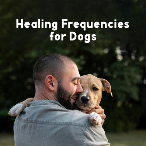 Healing Frequencies for Dogs: Pets Deep Sleep, Dogs Relaxation Music, Separation Anxiety Therapy
