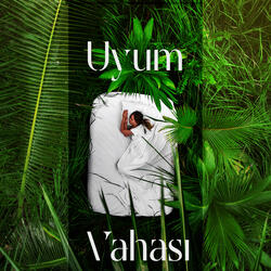 606 Hz Uyum Vahası