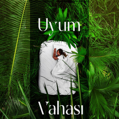 Uyum Vahası: Bebek İçin Sessiz Frekanslar 2022