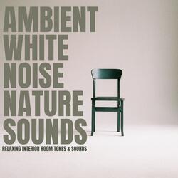 Room Tones, Distant Chatter and Footsteps, White Noise Ambience