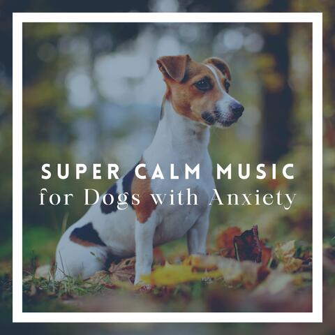 Super Calm Music for Dogs with Anxiety