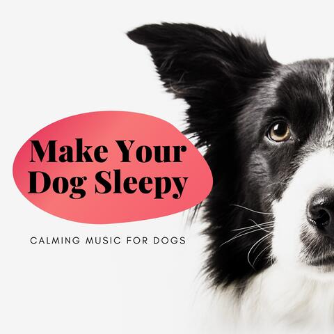 Make Your Dog Sleepy - Calming Music for Dogs