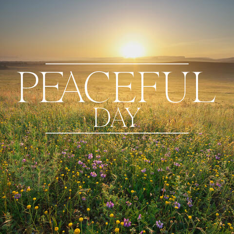 Peaceful Day: 15 Relaxing Sounds to Calm You Down