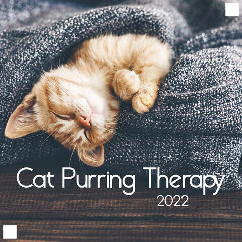 Cat Purring Therapy 2022