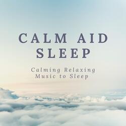Sleep Wanderer