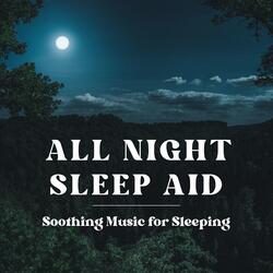 Night Sounds