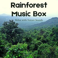 Rainforest Music Box