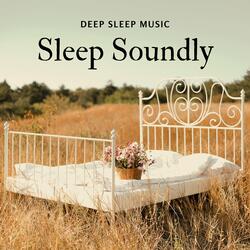 Sleep Soundly