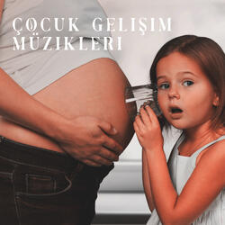 Belleği Geliştirin