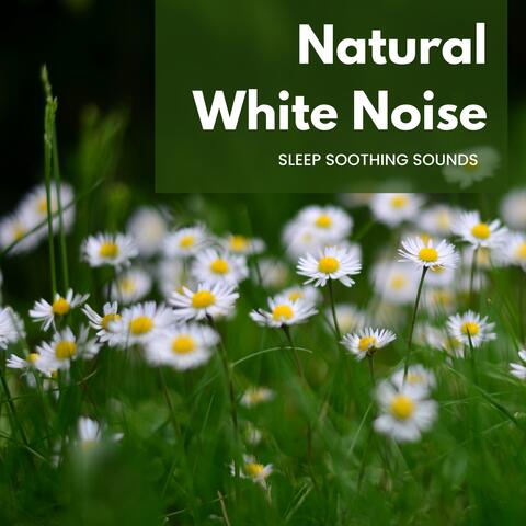 Natural White Noise - Sleep Soothing Sounds