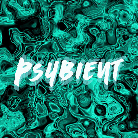 Psybient (Psychedelic Ambient Music)