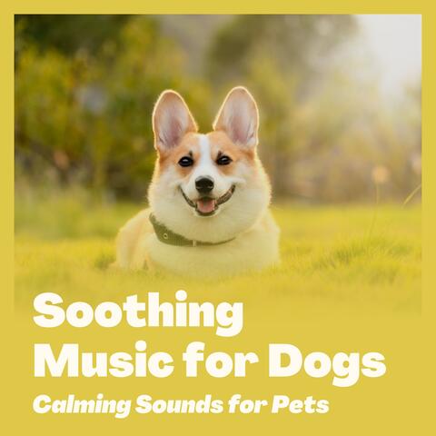 Soothing Music for Dogs - Calming Sounds for Pets