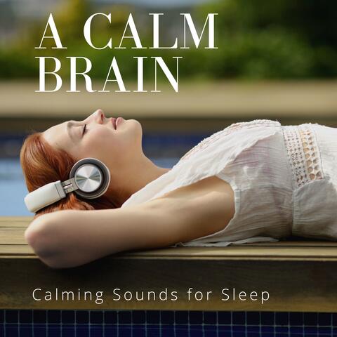 A Calm Brain - Calming Sounds for Sleep
