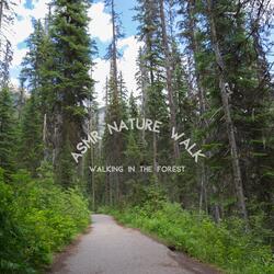 Making Way for Walkers