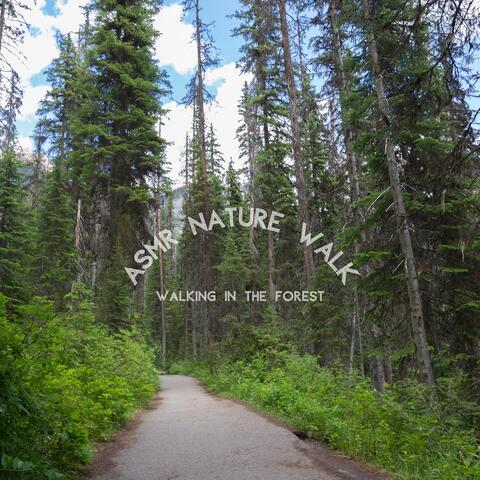 Walking in the Forest