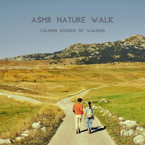 Calming Sounds of Walking