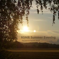 The Calming Summer Sound, 14