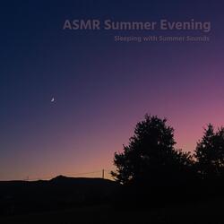 Sleeping with Summer Sounds, 6