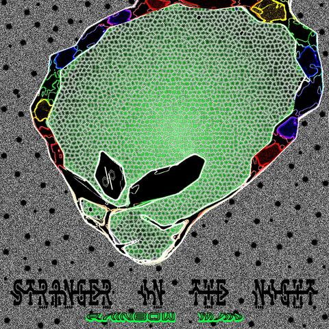 Stranger In The Night