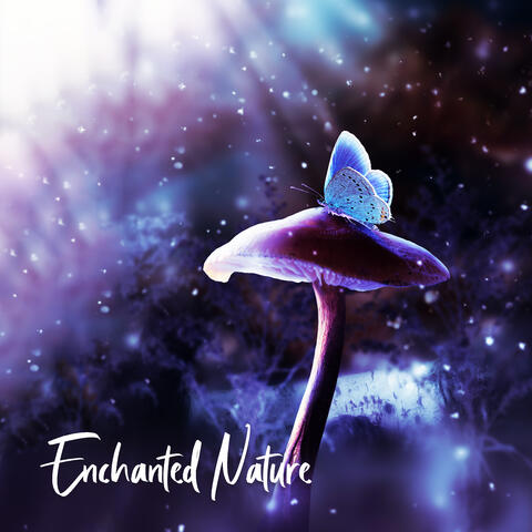 Enchanted Nature – Background Celtic Music for Reading and Writing