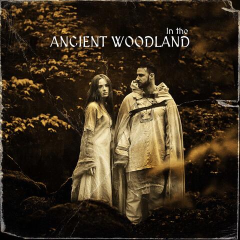 In the Ancient Woodland: Soothing Native Music, Spiritual Journey, Shamanic Flute