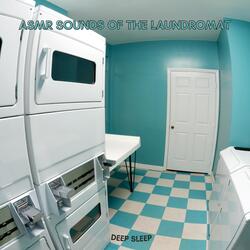 Opening Laundromats